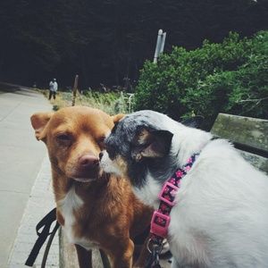 Meet your Posher, Luis y angie